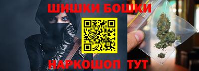 СК Бийск