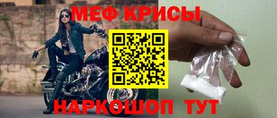 СК Бийск