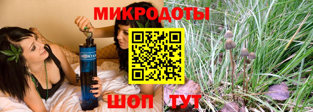 Галлюциногенные грибы прущие грибы Кинель