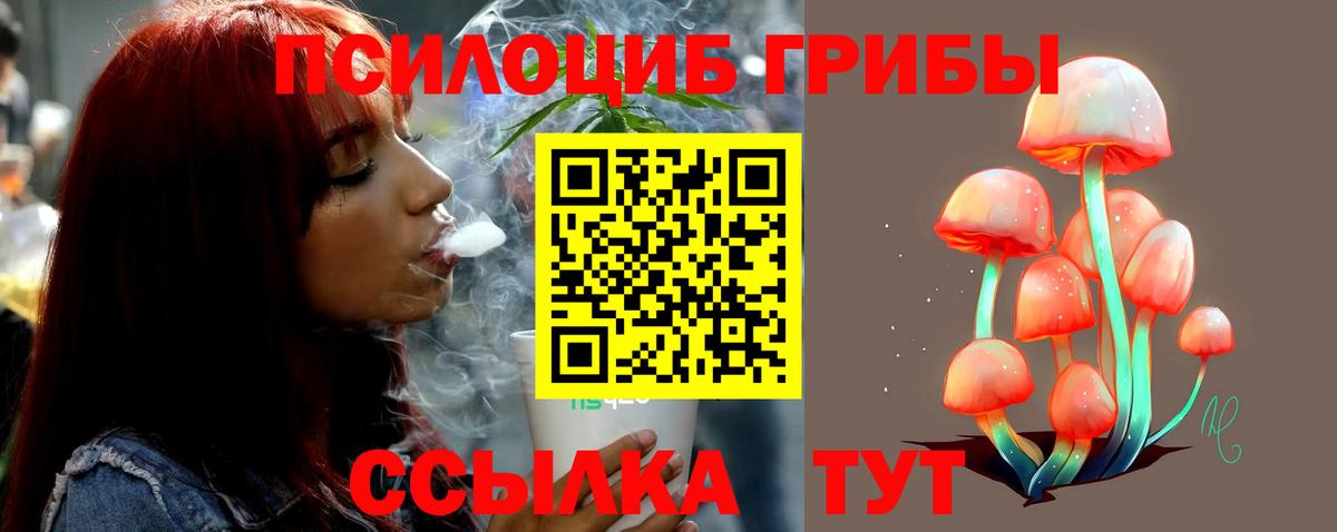 Кинель  Кокаин  Марихуана  Вход с VPN  Гашиш  ЭКСТАЗИ  ГАШ  Меф кристаллы 
