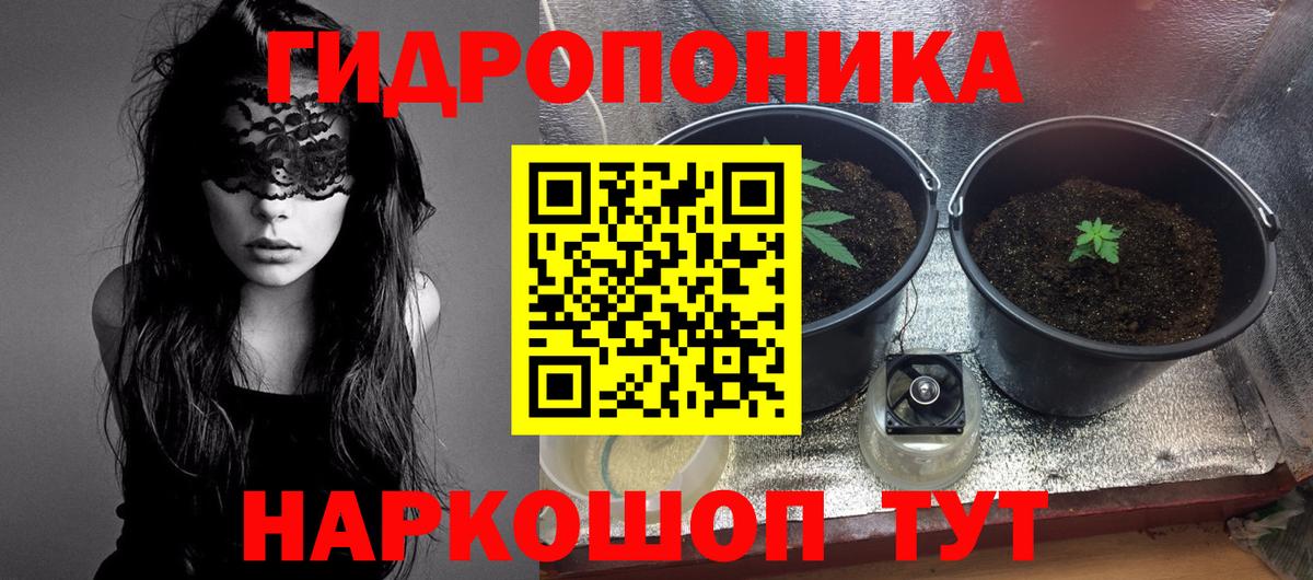 Каннабис LSD WEED  Вход с VPN  Кинель  МАРИХУАНА SATIVA & INDICA 